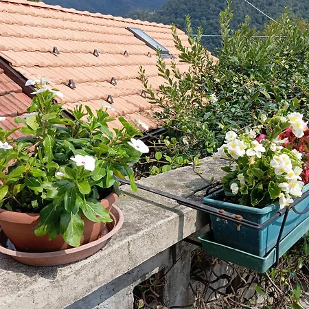 Low-mountain House With Terrace And Garden, Near Maggiore Maccagno