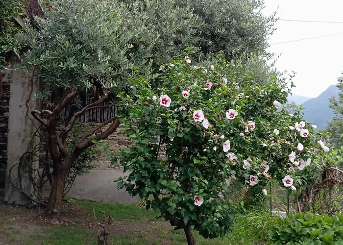 Low-mountain House With Terrace And Garden, Near Maggiore 펜션