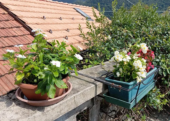 Low-mountain House With Terrace And Garden, Near Maggiore Maccagno