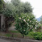 Low-mountain House With Terrace And Garden, Near Maggiore 別荘
