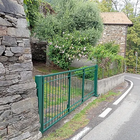 Low-mountain House With Terrace And Garden, Near Maggiore 別荘 *