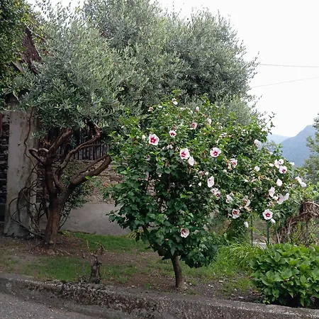 Low-mountain House With Terrace And Garden, Near Maggiore Semesterbostad